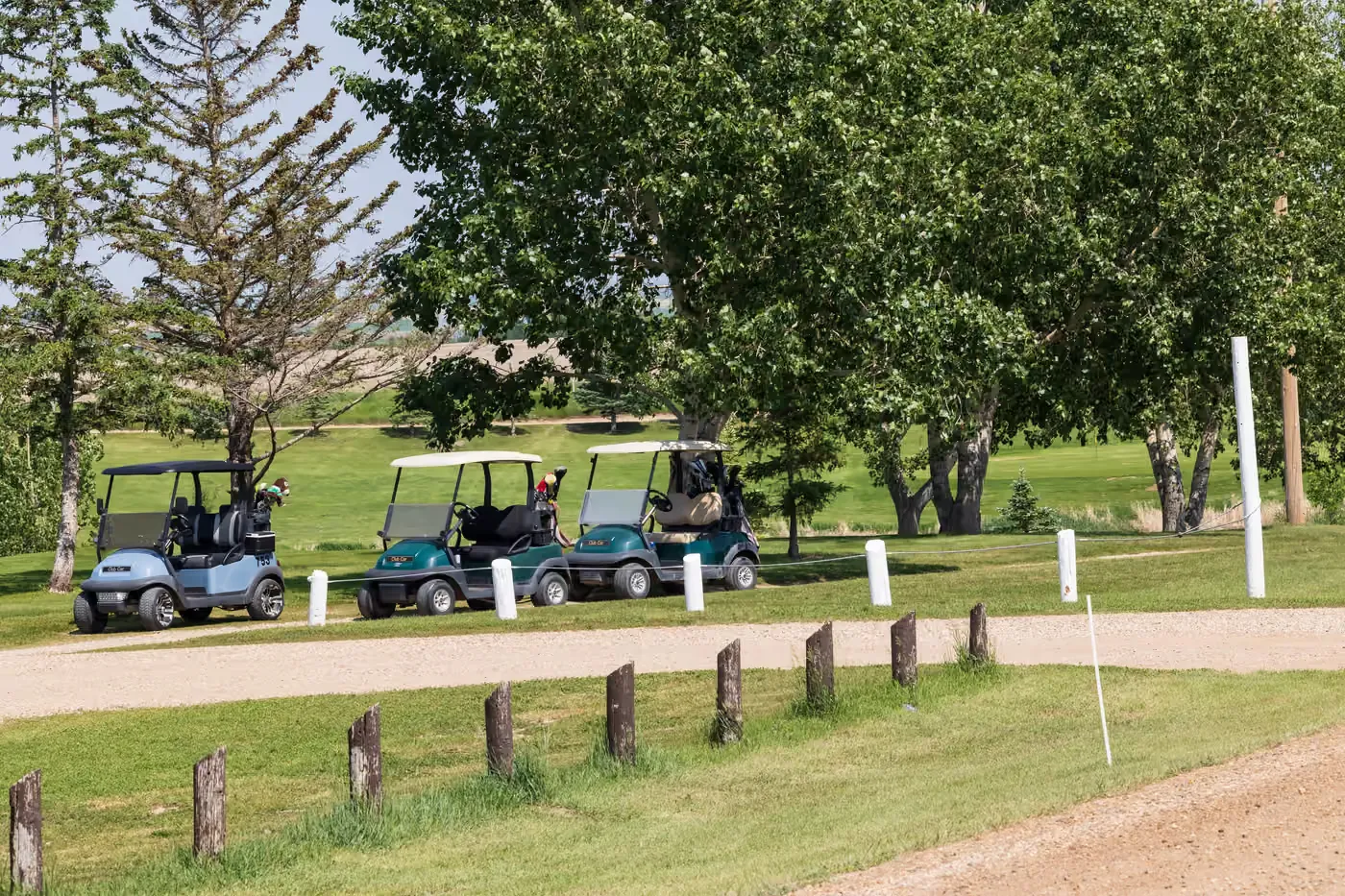 Golf carts under the trees at the Assiniboia Regional Park Golf Course